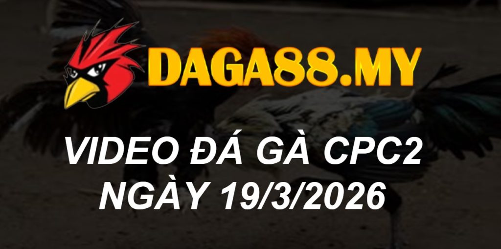 VIDEO GÀ CPC2 NGÀY 19/3/2026
