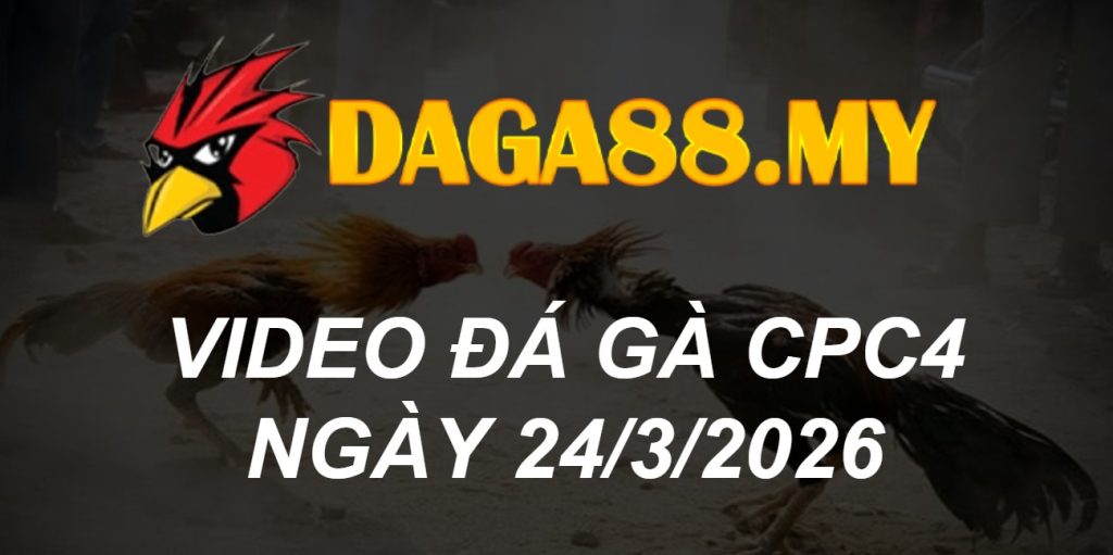 VIDEO GÀ CPC4 NGÀY 24/3/2026