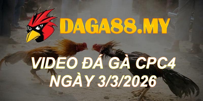 VIDEO GÀ CPC4 NGÀY 3/3/2026