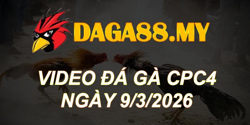 VIDEO GÀ CPC4 NGÀY 9/3/2026