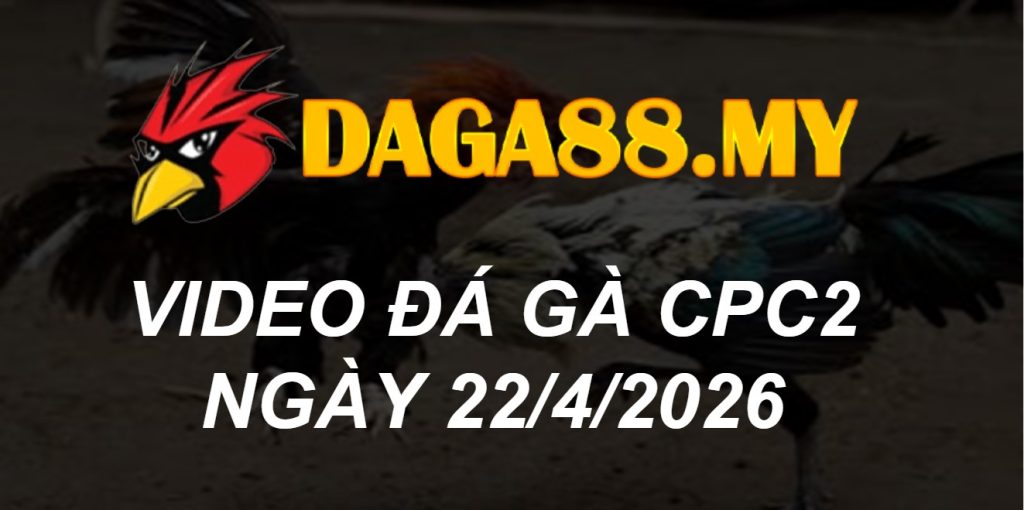 VIDEO GÀ CPC2 NGÀY 22/4/2026