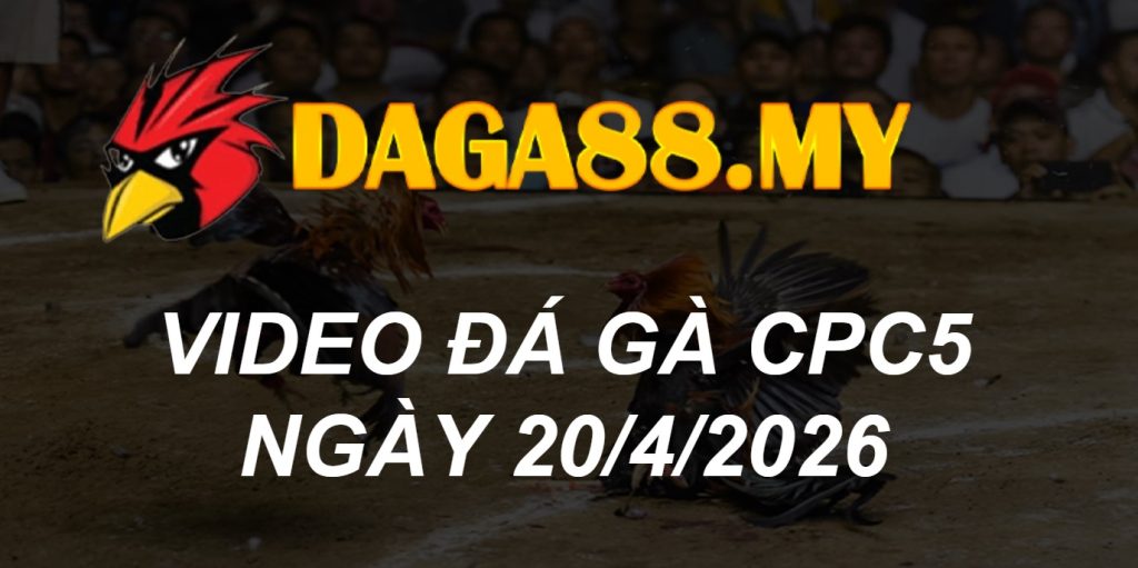 VIDEO GÀ CPC5 NGÀY 20/4/2026