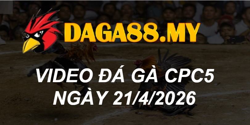 VIDEO GÀ CPC5 NGÀY 21/4/2026